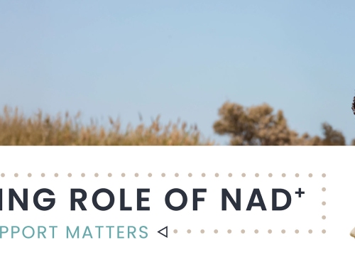 The Rising Role of NAD+