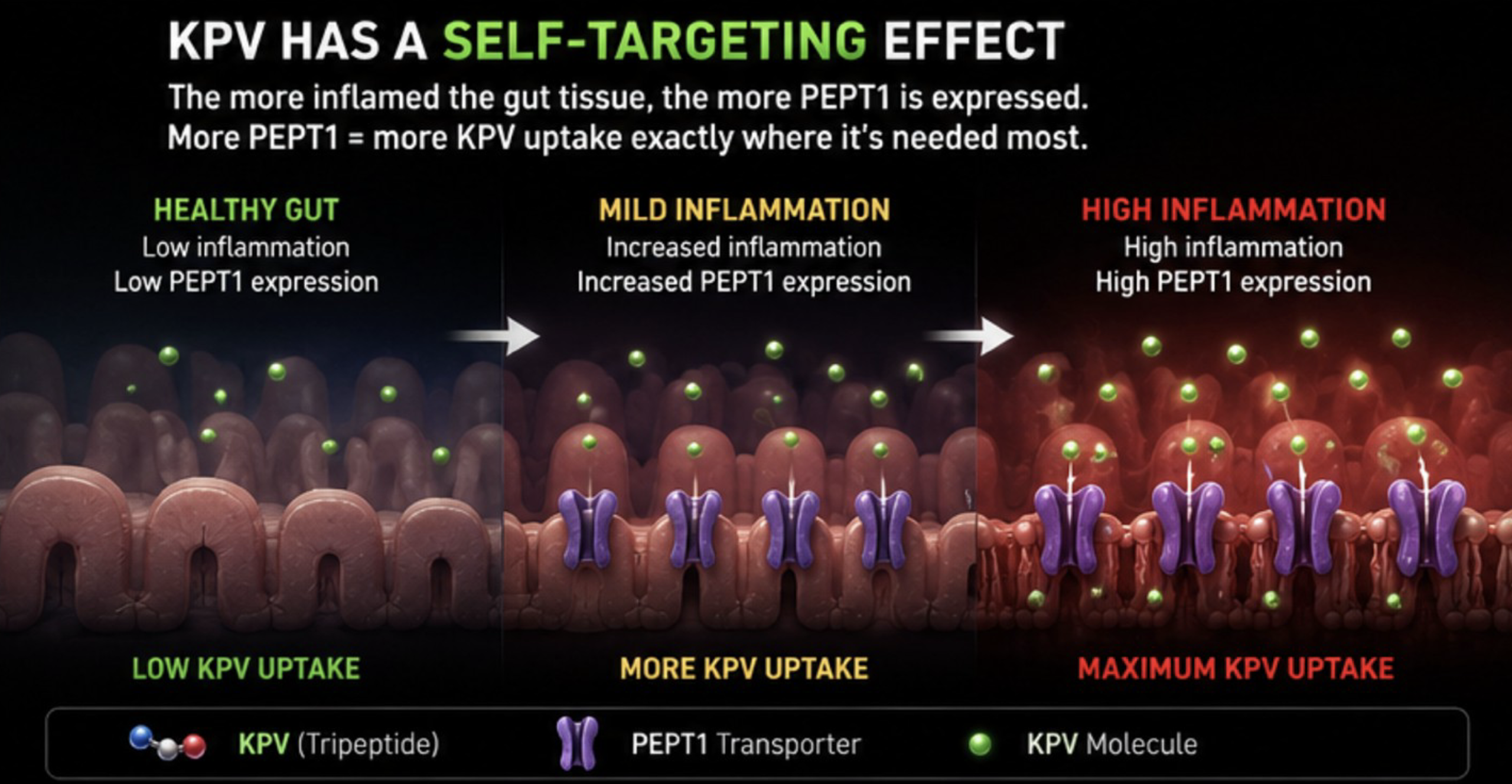 KPV